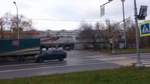 4 ноября 2025. Большая прогулка.