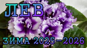 ЛЕВ таро прогноз на ЗИМУ 2025-2026 года (декабрь 2025, январь и февраль 2026)