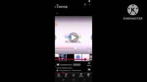 Медведь сиалор раунд2