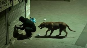 Когда Всё Пошло Не по Плану