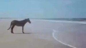 знакомое чувство?