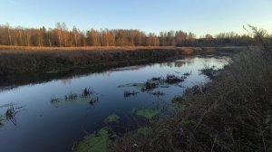 Река Уводь. ч.6. Ноябрь 2025