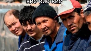 теперь вы понимаете почему мы ходим летом в штанах...