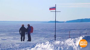 Антарктида - рядом! Доброе утро. Фрагмент выпуска от 04.11.2025