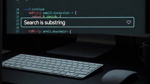 №24 ЕГЕ 2026 Демо (Поиск подстроки)