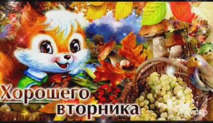 ДОБРОГО СОЛНЕЧНОГО ОСЕННЕГО УТРА ВТОРНИКА