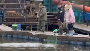 Поимки форели !!!