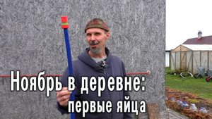 Ноябрь в деревне