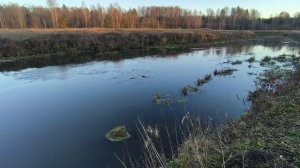 Река Уводь. ч.1. Ноябрь 2025