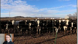 Подборка безумных новостей. Слухи о кормах от Билла Гейтса