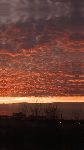 Закат очень красивый на 4 ноября 👍❤️#природа смотреть онлайн