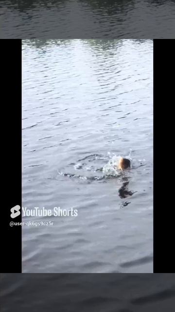 Ленобласть. Хвойное. 11.07.2024. Рыбалка. Река Вуокса. На поплавковую удочку леща, плотву, окуня (1)