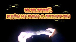 НАЛИМ НА СТУК. ЖДЁМ НАЛИМА С ЛЕТНИХ ЯМ. 19.10.2025Г. #рыбалка #налим #налимнастук #recommended