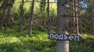 Карелия. VID_20250812_172914_143