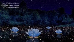 05 Ноября СОН Для СНА матрица подлинная П П гаряева Петр Гаряев Программы сайто WAVEGENETICS.RU CD