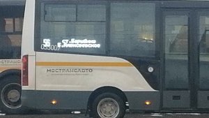 4.11.2025.11:20 Усадьба Парк Кино Ляхово. Парк Сибирских Кошек.Визитная карточка. Домодедово.Московс