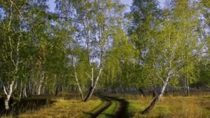 С чего начинается Родина - И.Ведерников