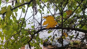 Места силы собирают свои жертвы