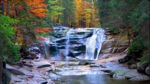 Вот и осень