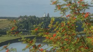 У рябин за прудом