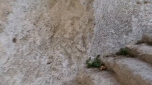 Эски Кермен