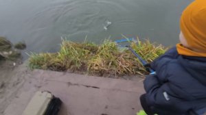 Ловим форель на Стрелецком ручье