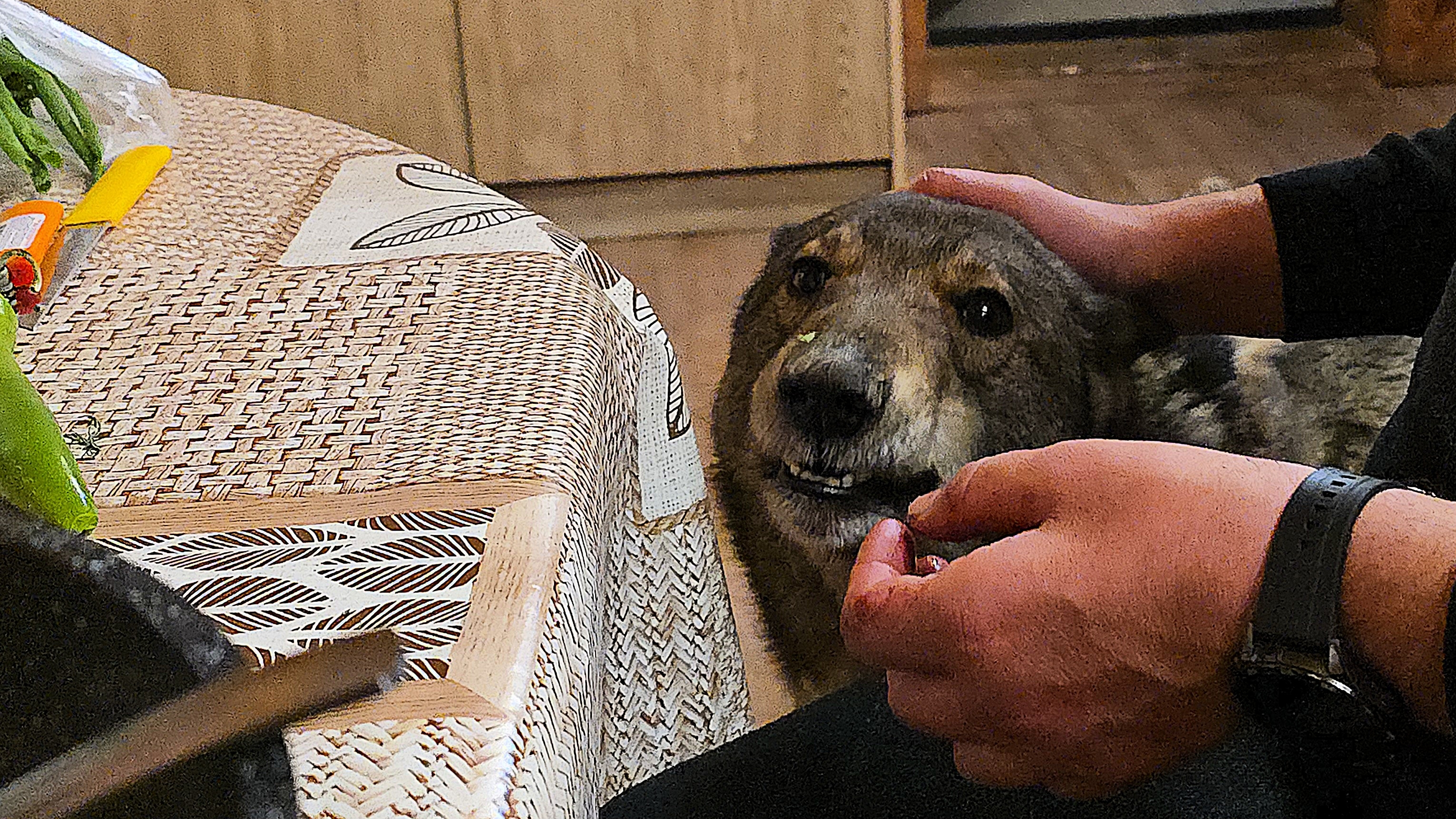 Ужин на троих