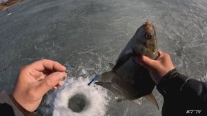 Ждём первый лёд. Вспоминаем лучшие моменты предшествующего сезона. Зимняя рыбалка 24/25.