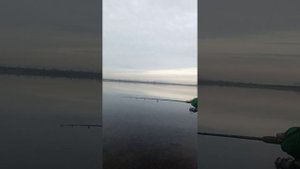 Калининский карьер Вторник 🎣