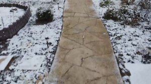 Влог.Люська. Куры.Смотрю концерт. Немножко приболела.