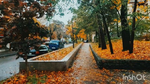 Осенний Светлогорск смотреть онлайн