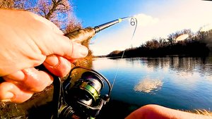 ЩУКА ОЗВЕРЕЛА на мели! Бешенный клев щуки на воблер! Рыбалка осенью 2025!