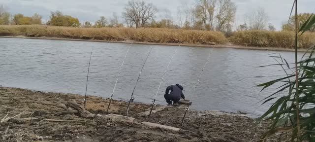 Лещ на реке Северский Донец.Берёт только опарыша.Пробую экспериментальную снасть.