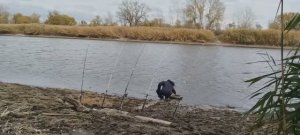 Лещ на реке Северский Донец.Берёт только опарыша.Пробую экспериментальную снасть.