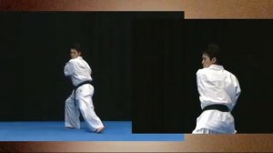 Kata Karate Kyokushinkai ( Ката Карате Киокушинкай ) часть 1
