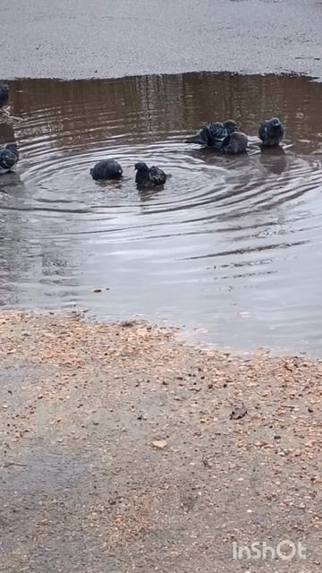 Быть счастливыми сейчас