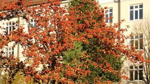 02=11=2025  ник  КРАСНОДАР   (123)