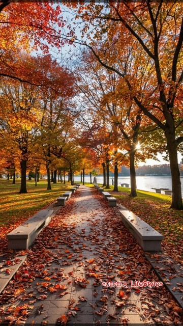 Иди один, поднимайся один, побеждай один. Знаешь почему? Потому что никто не обязан спасать тебя.