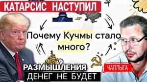 Кошка бросила котят, пусть @бутся как хотят 04-11-2025