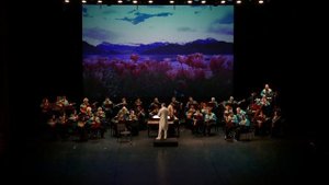 Концерт оркестра «Русский сувенир»: подарок от Сочинской филармонии в День народного единства