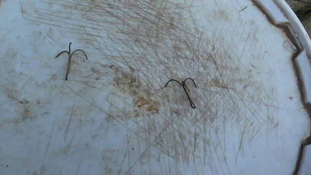 2015_О монстрах, 20 сентября 2015