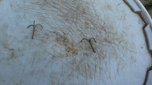 2015_О монстрах, 20 сентября 2015