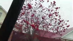 Рейс Самара-Ульяновск