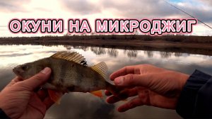 ИСКАЛИ ОКУНЕЙ НА МИКРОДЖИГ И... НАШЛИ)