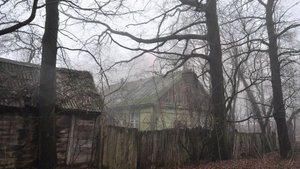 Мистика. Истории про деревню. Истории на ночь про лес. Черногрудые.