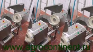 Колесо отводящее, с составе линии