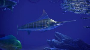 Голубой марлин