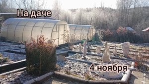 НА ДАЧЕ/ЗАБЫЛА КАПУСТУ,ЛУК ПОРЕЙ/ЗАЧЕМ КОШАЧИЙ ТУАЛЕТ..04.11.25г