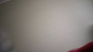 жизнь гнома