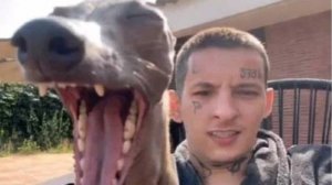 мышьу+кизару